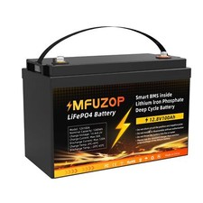 12V 100Ah LiFePO4 Lithium Battery, Built-in Smart BMS for RV, Solar, Marine