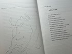 Foto 4 di 13