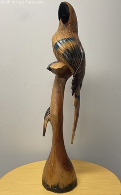 Parrot