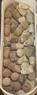 Lot Of 35 Various Union Confederate Civil War Bullets Manassas Virginia VA