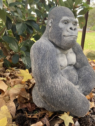Gorilla Ape Monkey Statue Ornament Animal Concrete Cement Garden Australian Made - Picture 8 of 10
