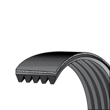 Choice Parts W11239857 for Whirlpool Washing Machine Drive Belt