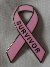 *NEW* Breast Cancer Survivor pink awareness ribbon enamel badge / brooch.Charity