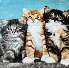 Kids Kitty Cat Blanket 48x58 Soft Fleece Throw Kittens Cozy Gift
