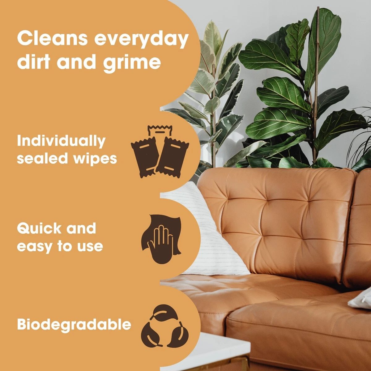 Leather Sofa Cleaning Wipes Baci Living Room