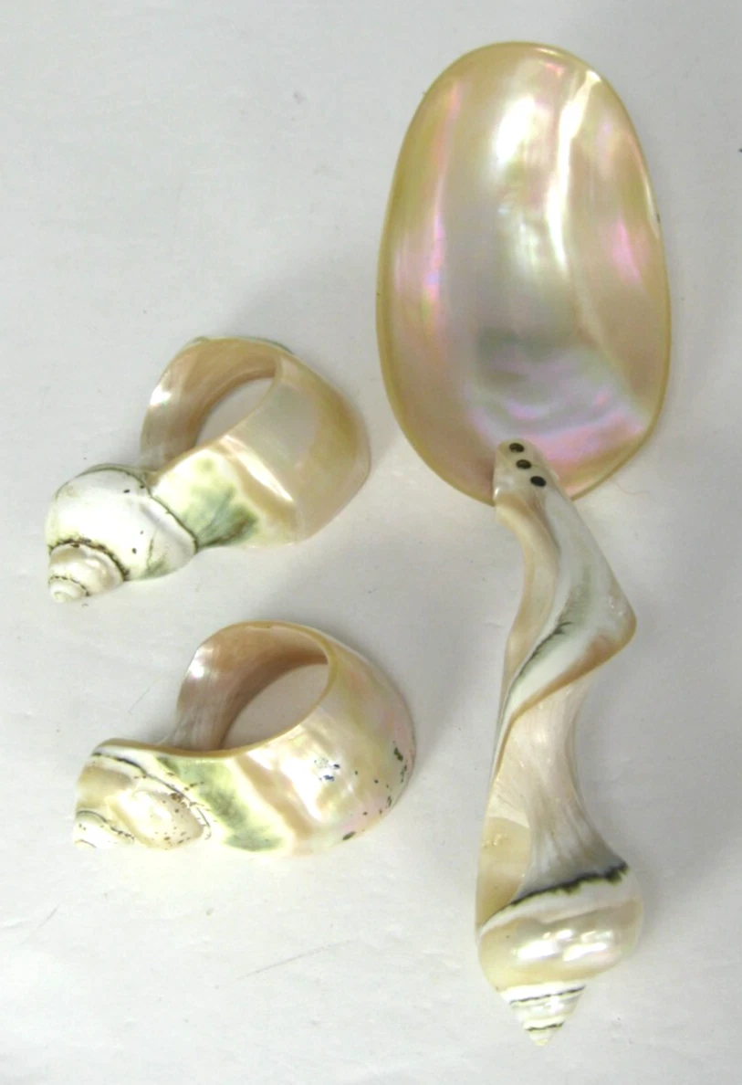 Mother Pearl Seashell Conch Natural Polished Caviar Spoon w/ 2 Napkin Rings FLAW
