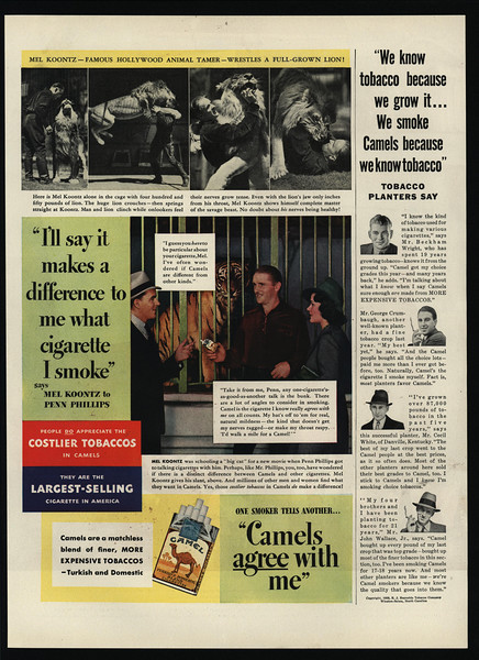 camel cigarettes lion Cigarette Logo - C Note Camel Cash Camel cigarettes" Poster for Sale