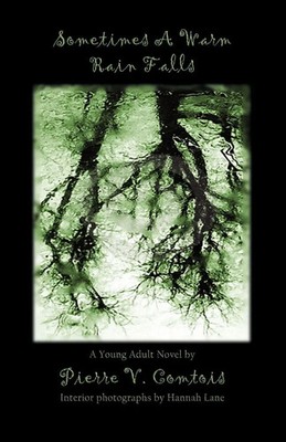 Pierre V. Comtois | Sometimes a Warm Rain Falls | Taschenbuch | Englisch (2009)