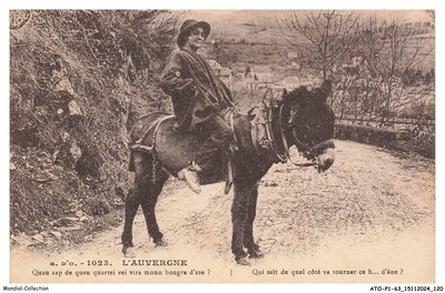 ATOP1-0061-63 - L'AUVERGNE - Who knows which side this b d'ane will turn