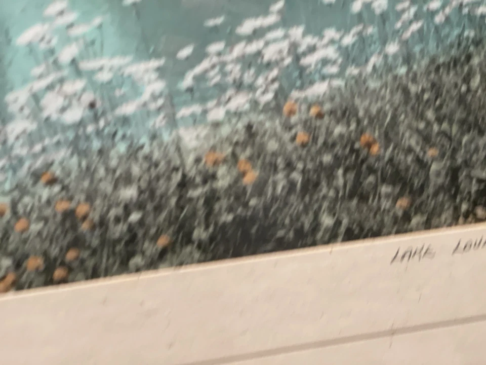 Foto enmarcada Fotografía de Don Harmons Lake Louise’ (11”x14”) 14”T 16,5”W Foto 3 de 4