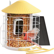 by Birdfy Smart Bird Feeder with Camera  Shield