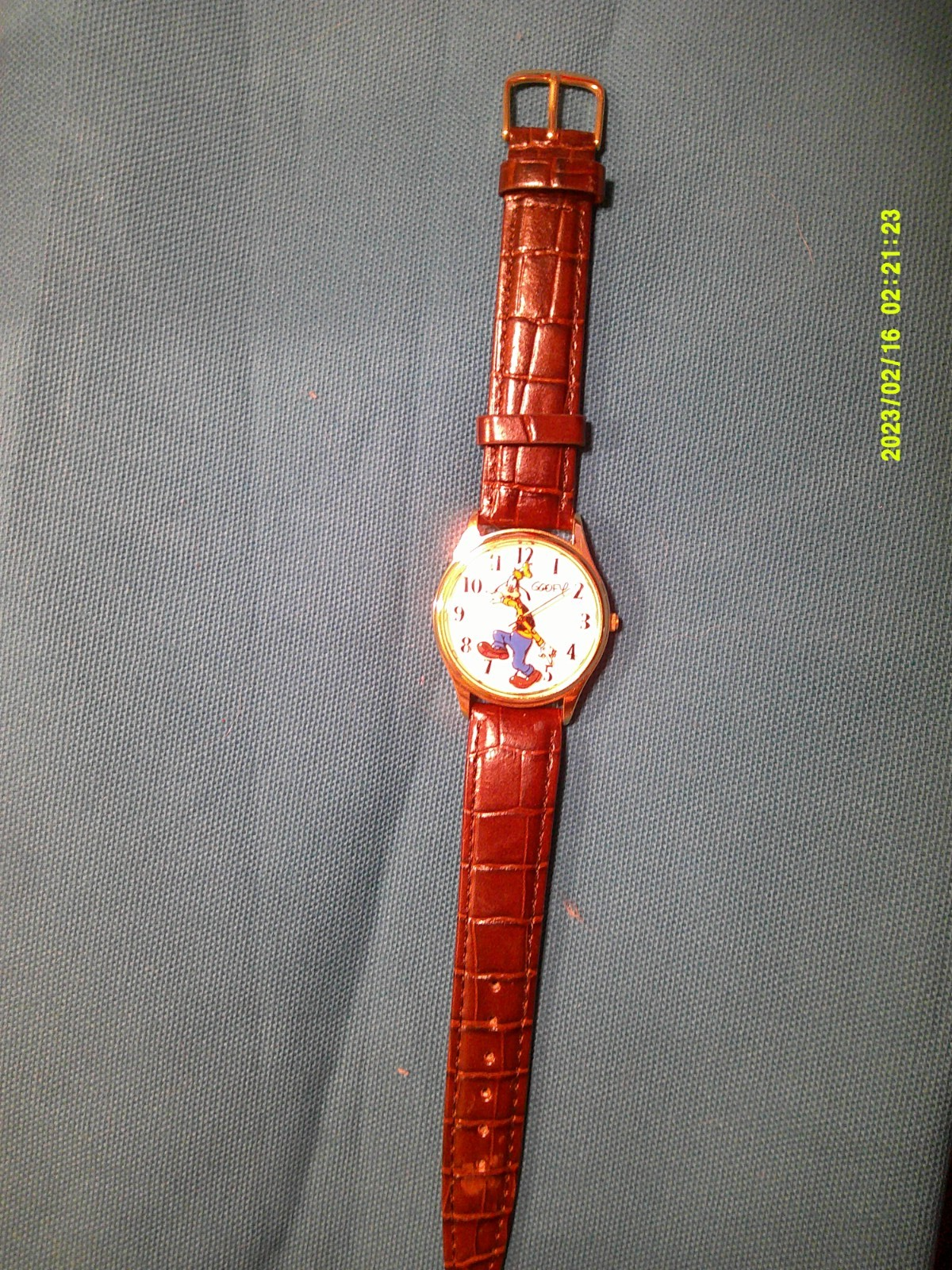 Bild 4 von 5