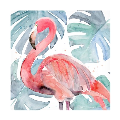 'Flamingo Splash II' Canvas Art by Annie Warren 14x14