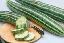 50+ Organic  Heirloom striped Armenian cucumber seeds  - Tasty - NON - GMO, 2025