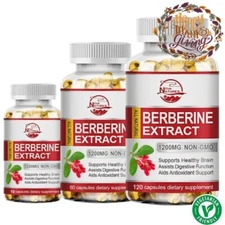 Berberine HCL 1200mg Cholesterol Blood Sugar Health General Wellness 10/60/120PC
