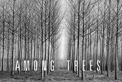 Among Trees, Kernan, Sean