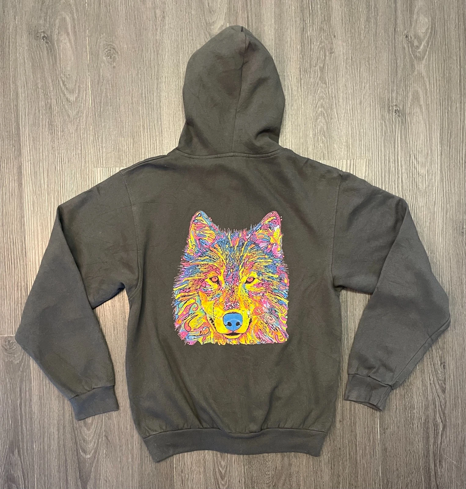 Tultex Dean Russo Psychedelic Wolf High Tech Early College Denver U.S.A. Hoodie