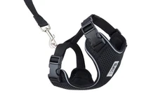 RC Pets Adventure Kitty Harness Includes Adjustable, Airmesh Fabric, 6' Leash...