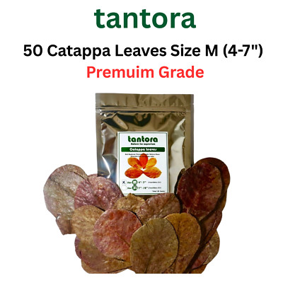 Tantora Catappa Leaves/Indian Almond Leaves-IAL 50 size M (4''-7'')  Betta, Shrimp