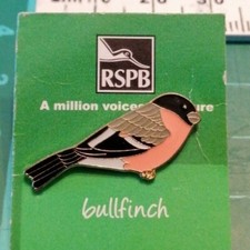 Bullfinch Pin. RSPB Bird Enamel Pins 