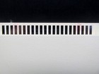Bild 11 von 11