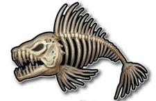 Bone Fish Sticker American Fishing Cup Car Window Bumper Decal Kayak Boat Canoe