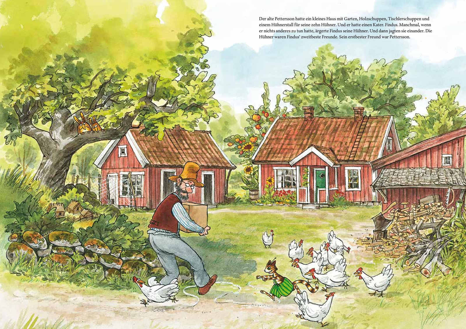 Thumbnail - Pettersson Und Findus. Findus Und Der Hahn Korb Sven Nordqvist