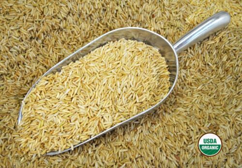 SweetGourmet Organic Long Grain Brown Rice- Bulk, 5Lb FREE SHIPPNG! - Picture 1 of 2