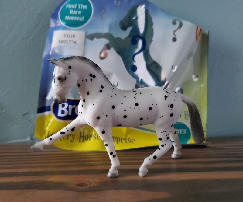 Breyer 2021 TSC Special Run Mystery Horse Surprise Series 3 Appaloosa Sporthorse
