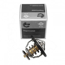 Thermostat Lexus GS