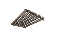 Aged Vintage style Tremolo Mounting  Screws (...