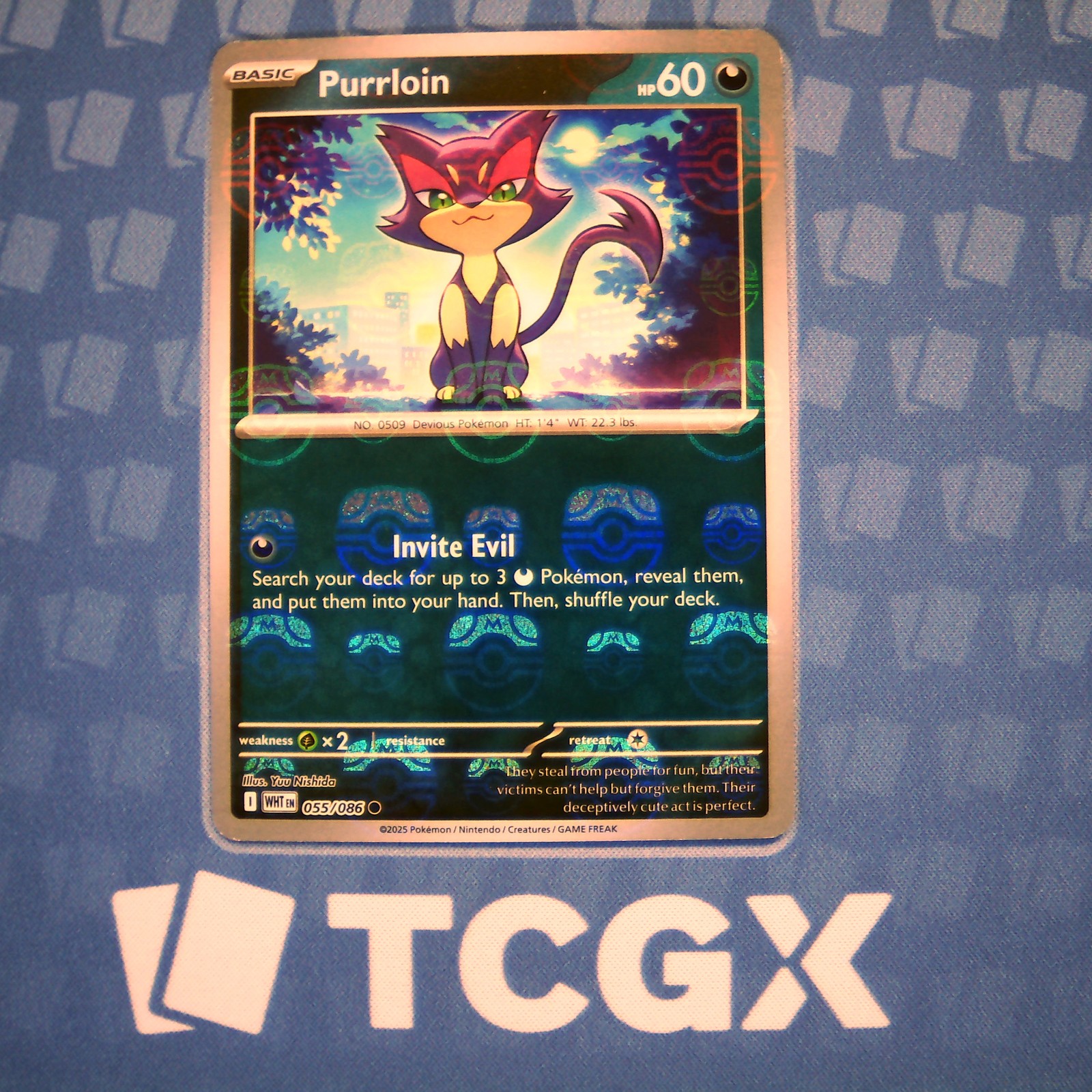 Pokemon - Purrloin (Master Ball Pattern) - 055/086 - SV: White Flare - Holo NM