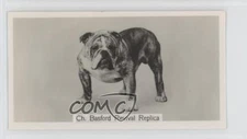 1938 Sinclair Champion Dogs Tobacco Bulldog #41 3f3