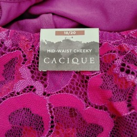 Lane Bryant Cacique Sexy Mid Waist Cheeky Lingerie Panty 18/20 Purple W/ Lace