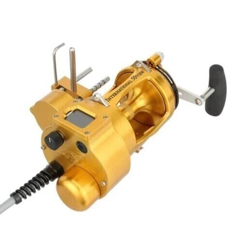 Moulinet Penn International 80Visw Gold