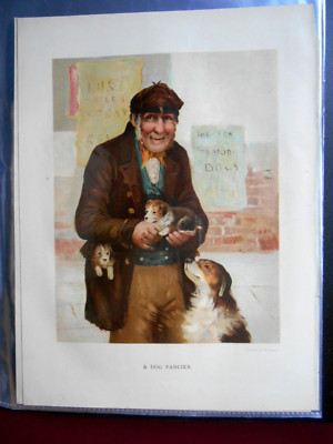 Alter Mann Hund Züchter Welpen - Viktorianischer Künstler gezeichnet Chromo Litho Druck 1900/02