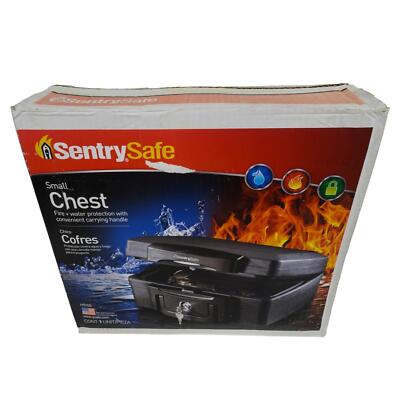 Sentry Safe Fireproof Waterproof Small Chest 2 Keys Portable w Handle H0100