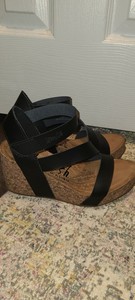 blowfish hapuku black