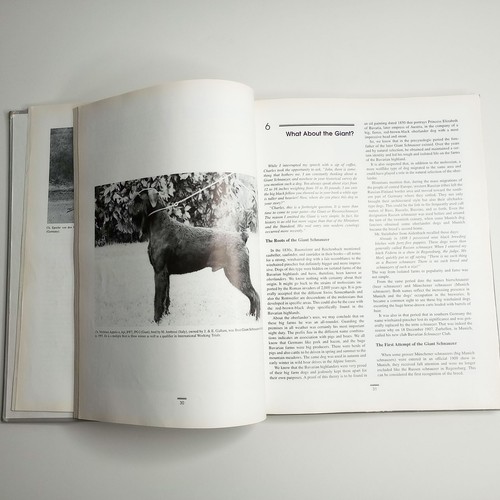 The World Of Schnauzers - Standard - Giant - Miniature | by Johan Gallant (HC) - Picture 11 of 15