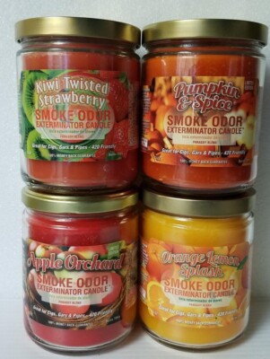 Smoke Odor Exterminator 13oz Jar KiwiTwistedStrawberry Assorted Set of 4 Candles