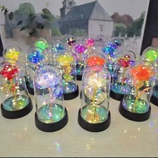 Eternal Rose LED Light Glass Dome Gift for Girlfriend Valentine’s Day Character