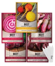 , Beet Seeds for Planting Home Garden - 5 Variety Pack Detroit Dark Red, Gold...