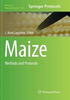 L. Mark Lagrimini | Maize | Taschenbuch | Englisch (2018) | Xi | Humana