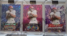 Fernando Mendoza Wild Card Lot