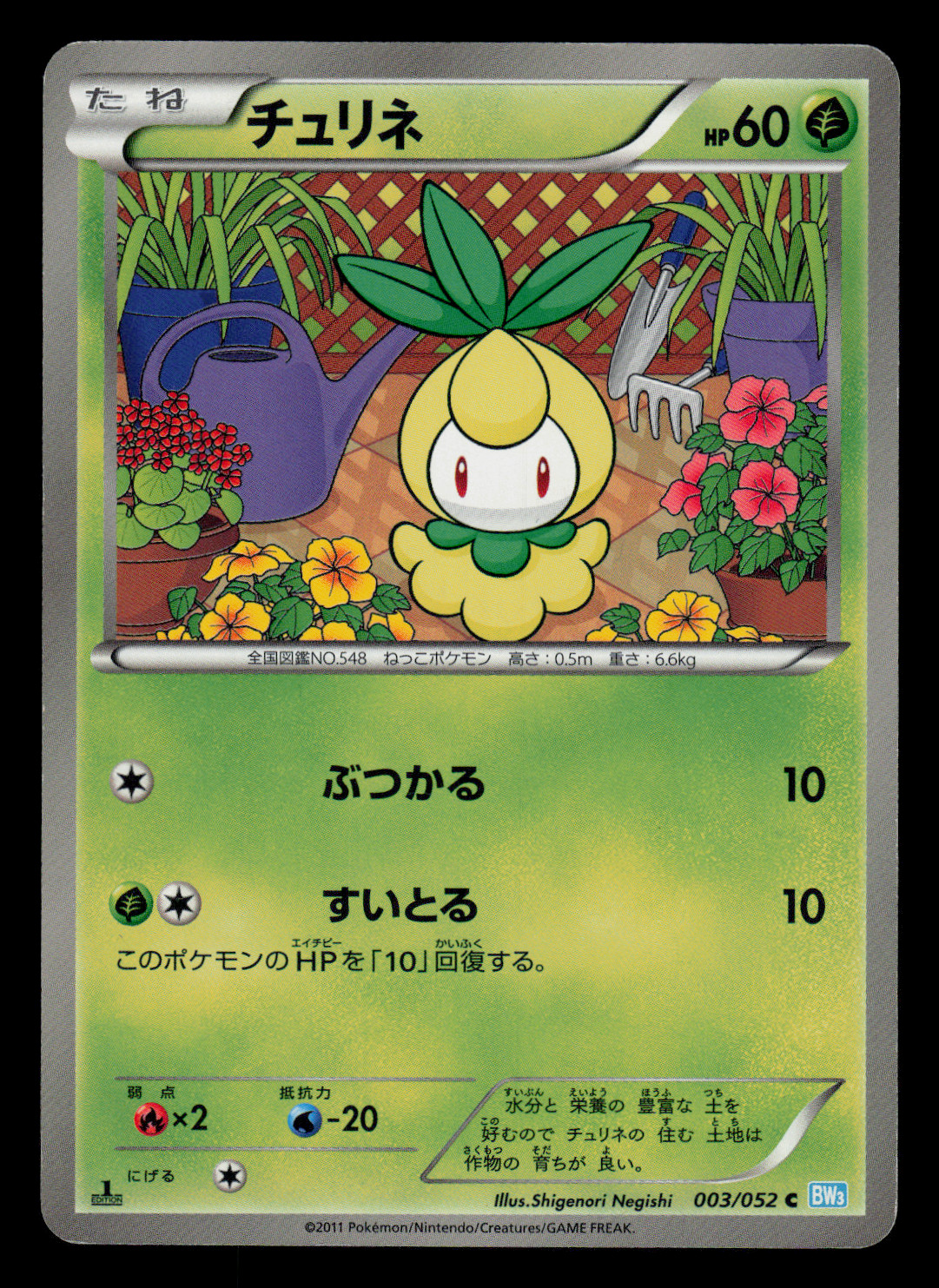 MP - Pokemon Japanese Petilil 003/052 C Hail Blizzard BW3 Common 1ST ED
