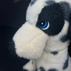 Bild 5 von 9