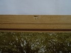 Bild 6 von 9