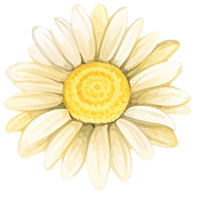 Suchergebnis Auf Für: Aufkleber Auto Blumen