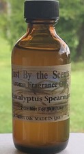 Home Fragrance Oil Eucalyptus Spearmint for Burners/Diffusers Free Shipping