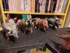 Foto 3 di 11